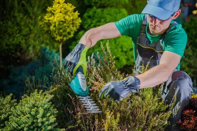 landscaping services Wolf Lake